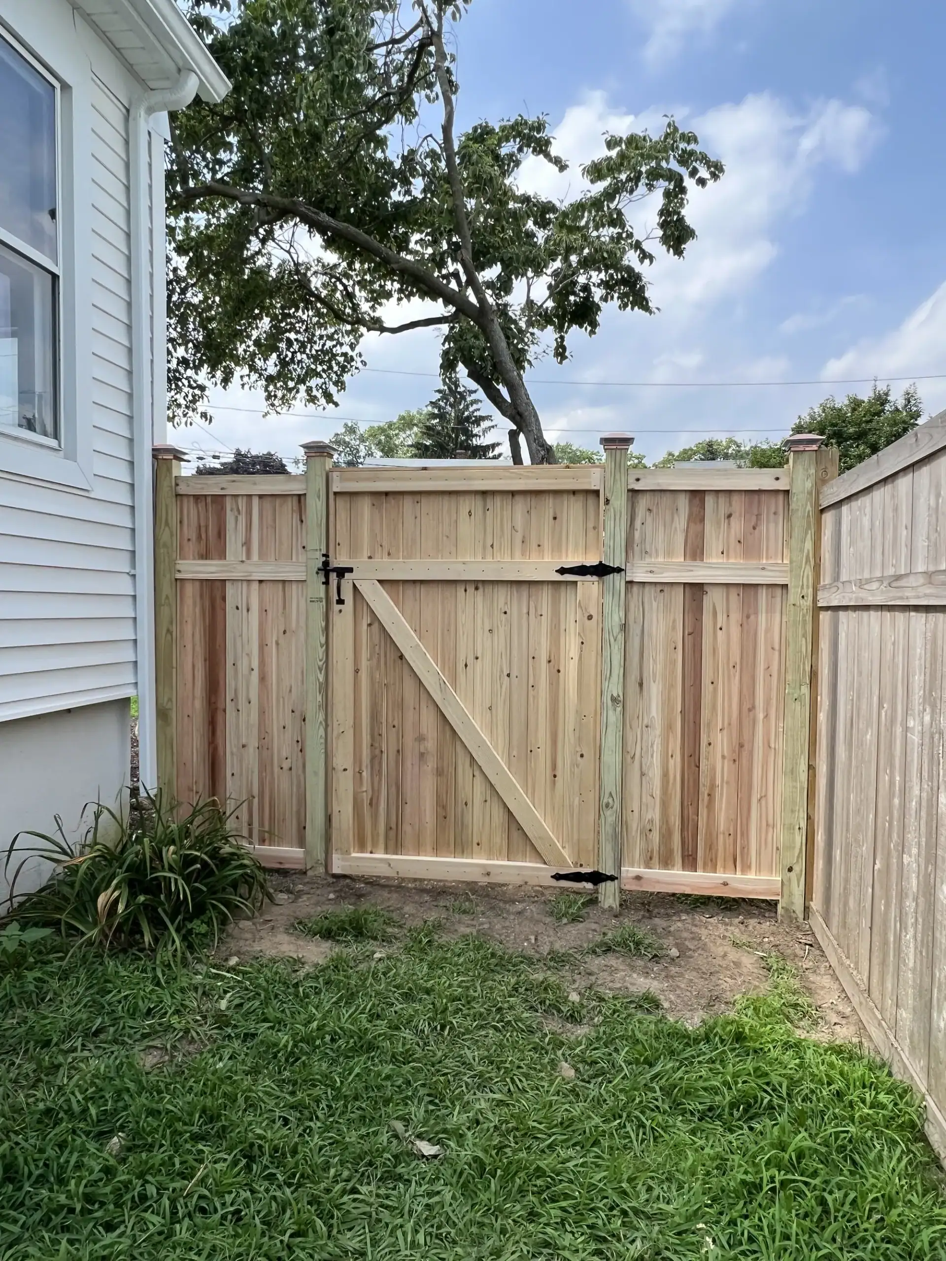 Cedar privacy fence with a framed walk gate and black hardware